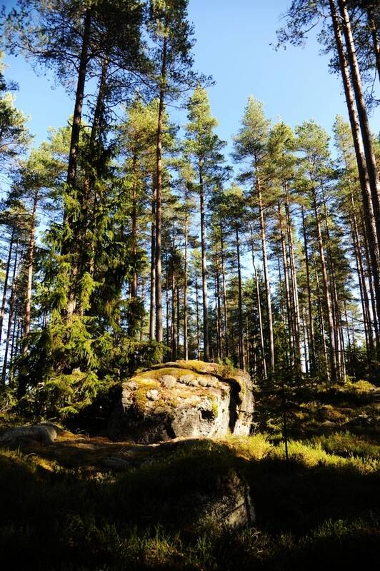 森林中得巨石.jpg
