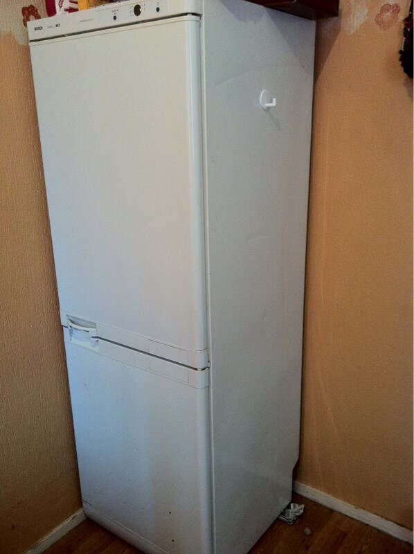 大冰箱, 下面是冷冻的. 100欧.
