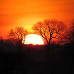 Sunrise_over_fields_near_Trimdon_Village_Taken_27-03-2012_007.jpg