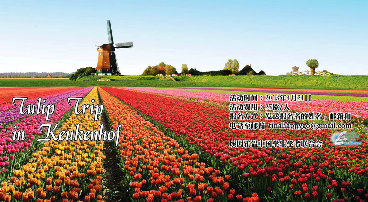tulip-poster.jpg