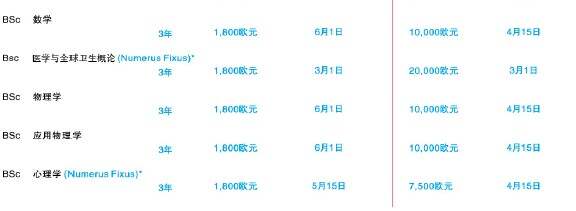 格罗宁根大学本科课程列表2