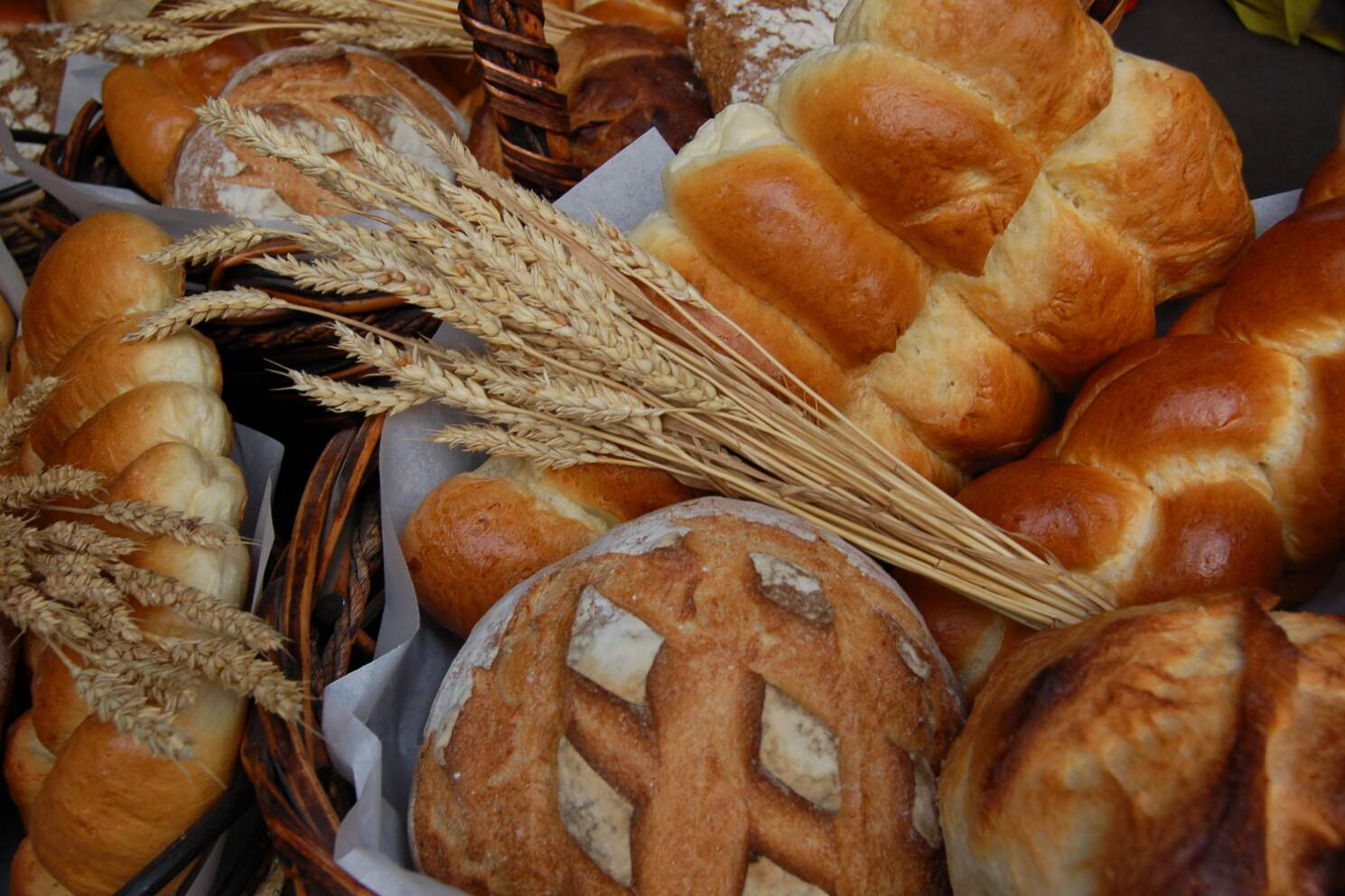 #14 Swiss Bakery Bread.jpg