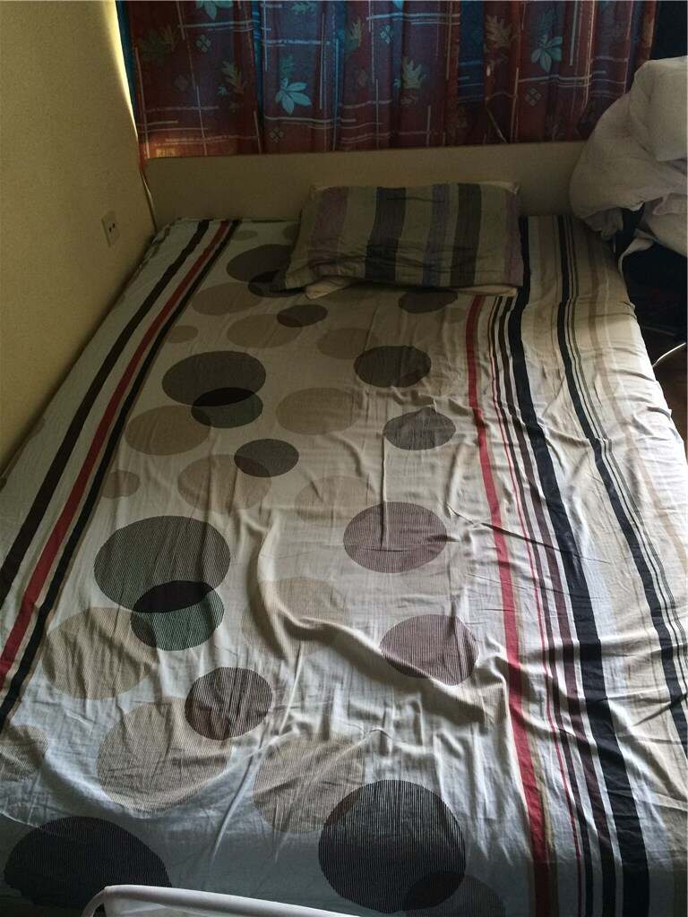 双人床 床垫质量极好 IKEA原价300欧的 现价50欧