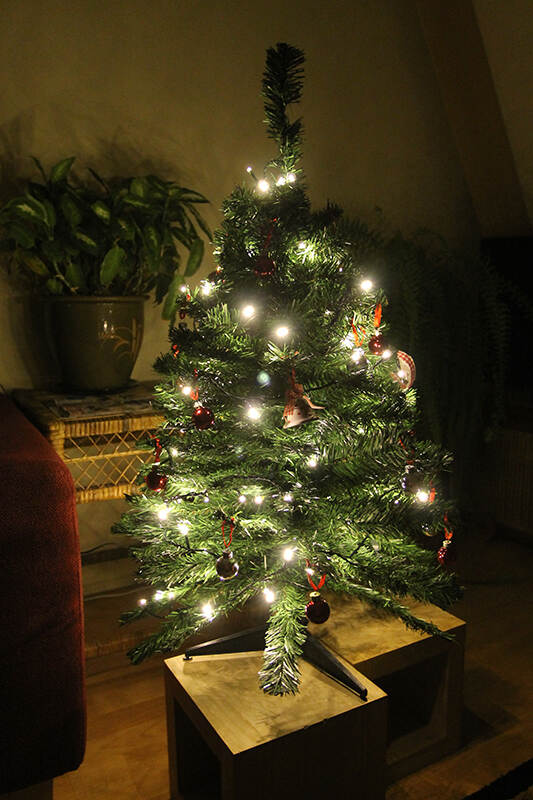 圣诞树2.jpg