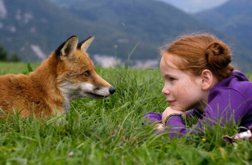 the-fox-and-the-child-1.jpg