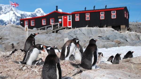 南极急招邮递员 前提不怕企鹅不怕脏