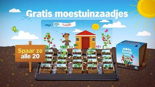AH迷你植物盆栽在荷兰掀起种菜热潮，大家一起去种菜！