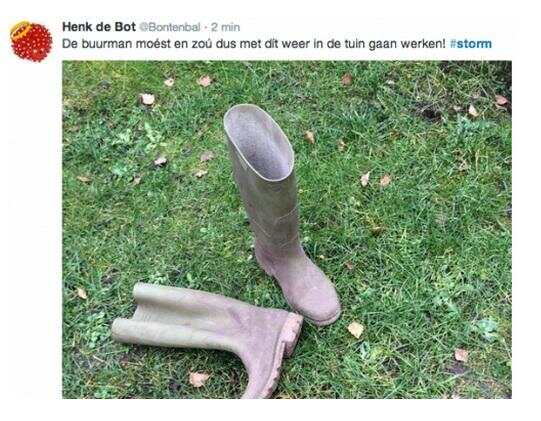 29.jpg