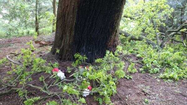 本周三两年轻女子在Amersfoort避雨时遭雷击后死亡