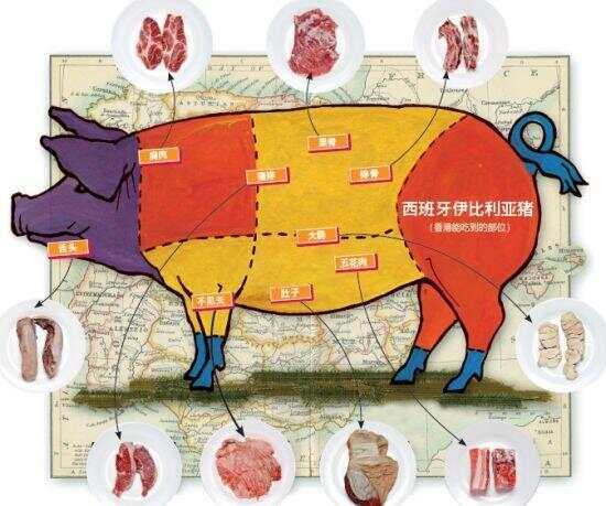 海归的创业经：开办电商要卖“世界上最好吃的猪肉”