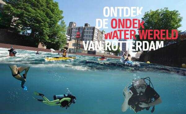 鹿特丹将开发炫酷水上乐园，以后夏天就有得玩啦！