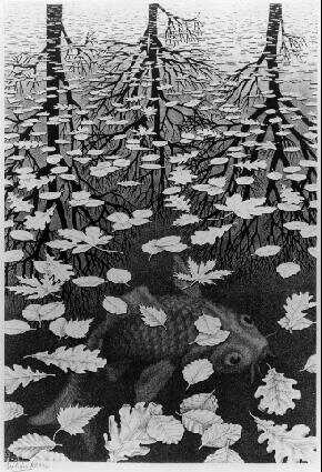 LW405-MC-Escher-Three-Worlds-1955.jpg