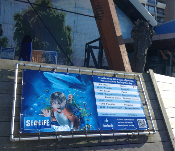 SeaLife活动表.png