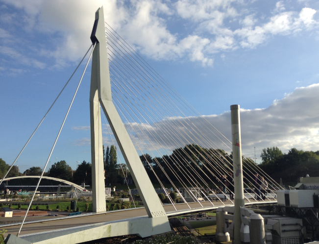 鹿特丹天鹅桥.png