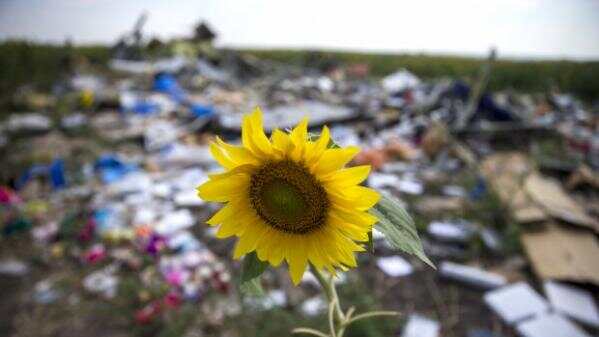 世界期待的马航MH17坠毁调查报告抢先看？