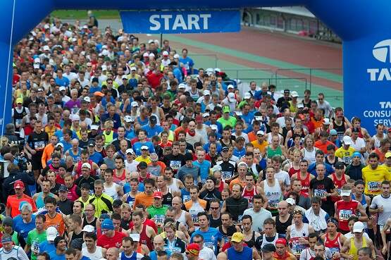 Start-TCS-Amsterdam-Marathon-2013.jpg
