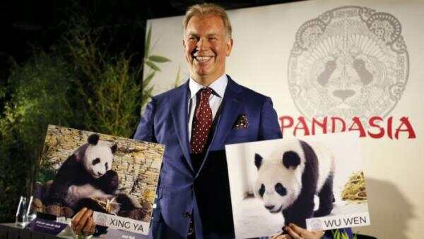 荷兰要迎来大熊猫了!乃们可知为迎接他们俩荷兰准备15年？