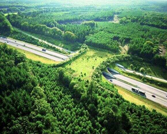 【超暖心】在荷兰这些美丽的"生命桥梁"只为了动物们而架起 ... ... ...
