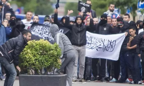 荷兰青年工作者：荷兰伊斯兰极端化可能性不大
