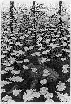 LW405-MC-Escher-Three-Worlds-1955.jpg LW405-MC-Escher-Three-Worlds-1955.jpg