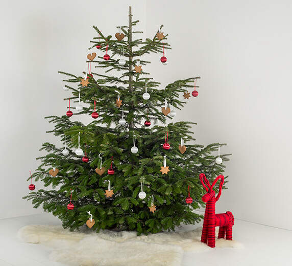 Kerstboom_572x520.jpg