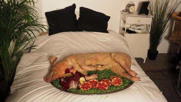 pig01.jpg