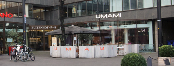 umami.png