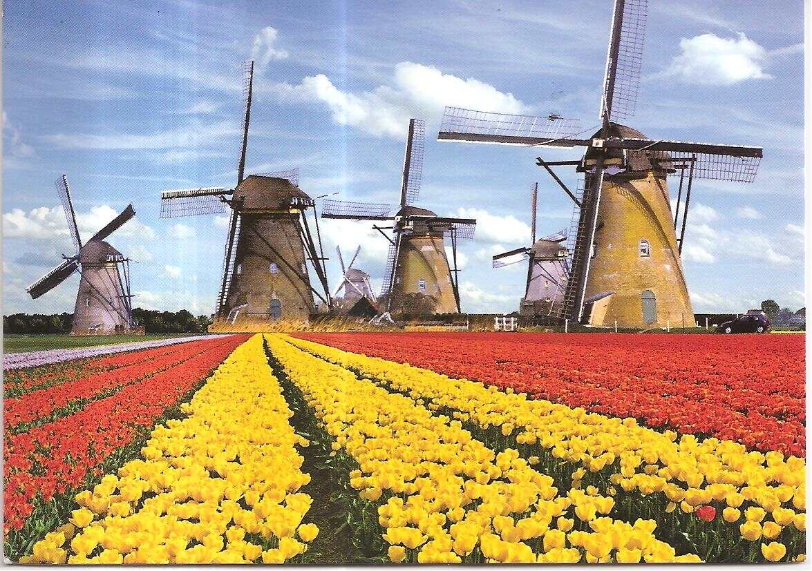 荷兰1.jpg