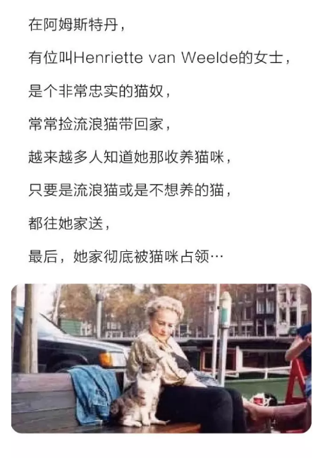 QQ截图20160422175028.png