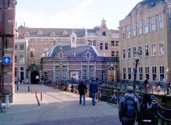 荷兰大学如此吃香：超过11%的学生申请荷兰高校