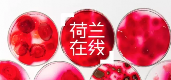 QQ截图20160524172326.png
