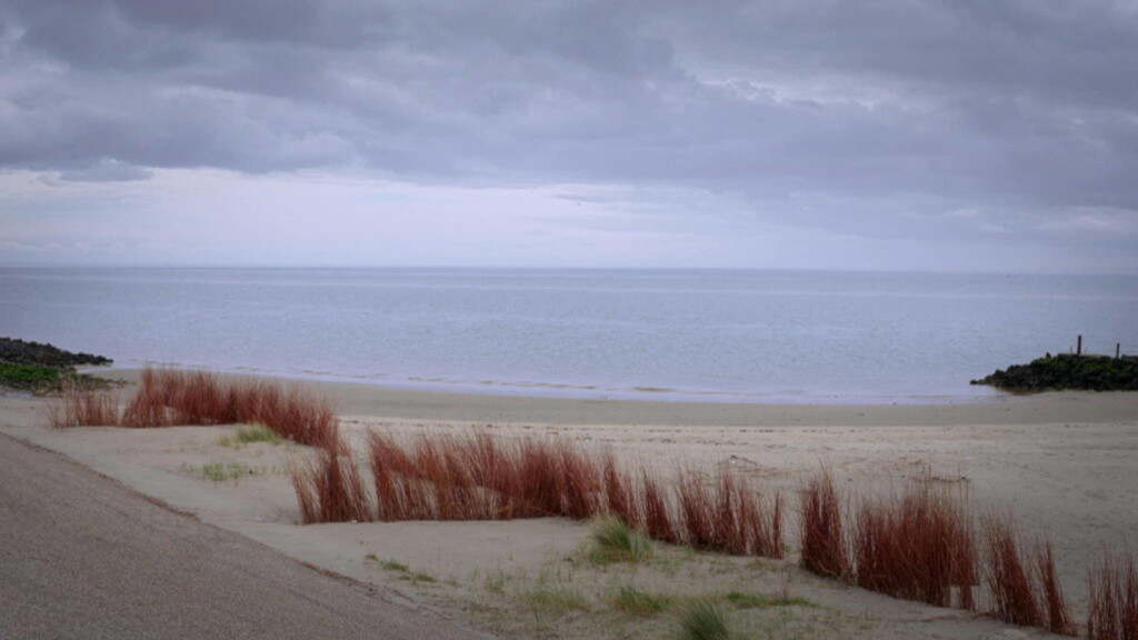 texel03-1024x576.jpg