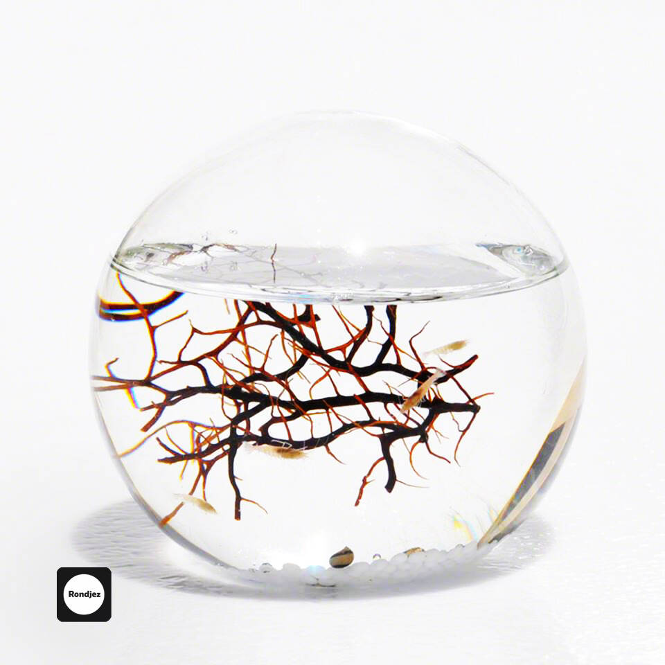 ecosphere_iv.jpg