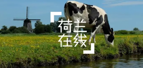 手机给牛奶测毒到底是怎么回事？
