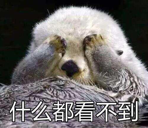 看不到.jpg