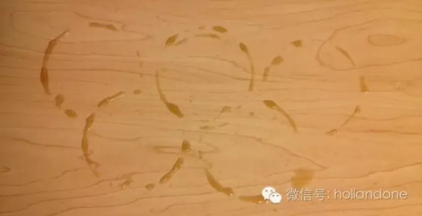 QQ图片20160810201518.png