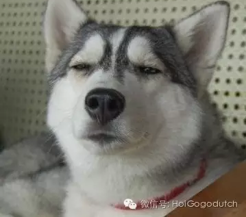 QQ图片20160822230430.png