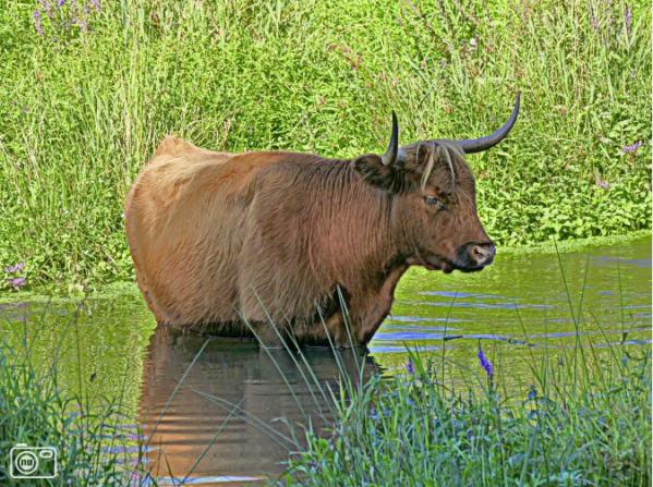 schinveld.png schinveld.png