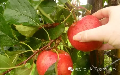 QQ图片20160913221706.png