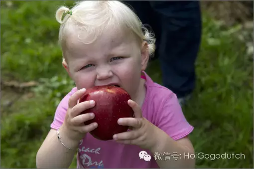 QQ图片20160913221725.png