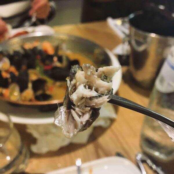 fish-min.jpg