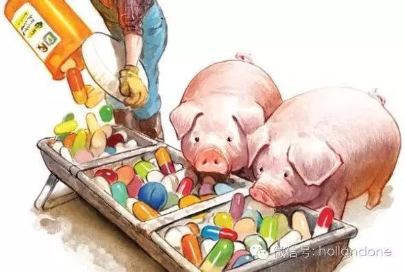 不容忽视的大问题：抗生素耐药性！中荷两国展开合作