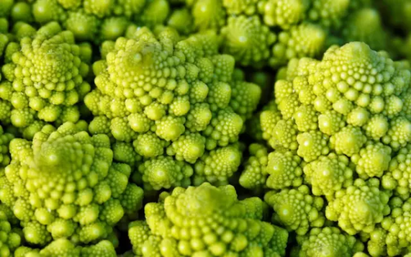 QQ图片20161019224915.png QQ图片20161019224915.png