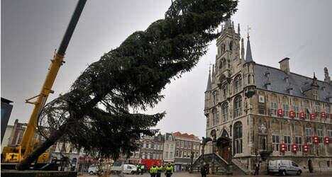 plaatsen-van-de-boom-in-gouda.jpg
