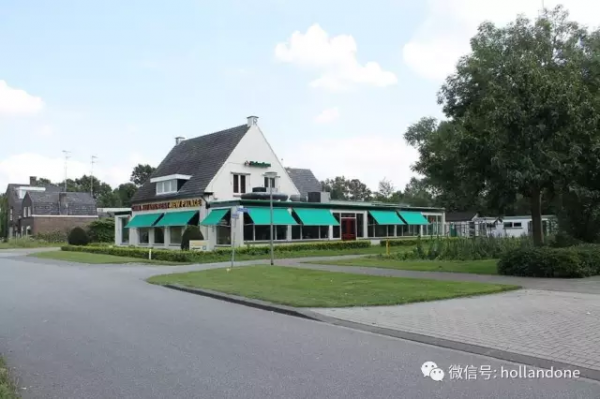 荷兰中餐馆种大麻，生财走歪道？
