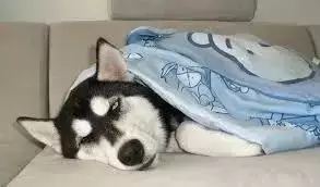 QQ图片20170208110252.png QQ图片20170208110252.png