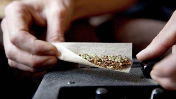 种大麻即将合法？别以为在荷兰就能吸毒，套路深的很！