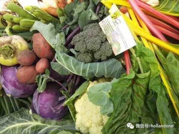 荷兰2017年新趋势：打造能吃的花园