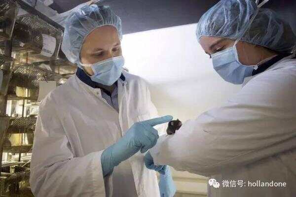 返老还童不是神话，荷兰鹿特丹大学医院帮你实现梦想