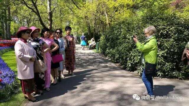 WeChat Image_20170511144448.jpg
